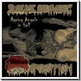 SUBLIME CADAVERIC DECOMPOSITION - Raping Angels In Hell Digi CD