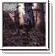 ABHORRENT DEFORMITY - Entity Of Malevolence CD