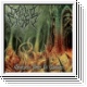DEFILED CRYPT - Convoluted Tombs Of Obscenity CD