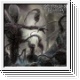 PURULENT NECROSIS - Cadaverized Humanity CD