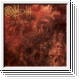 OLKOTH - At The Eye Of Chaos CD